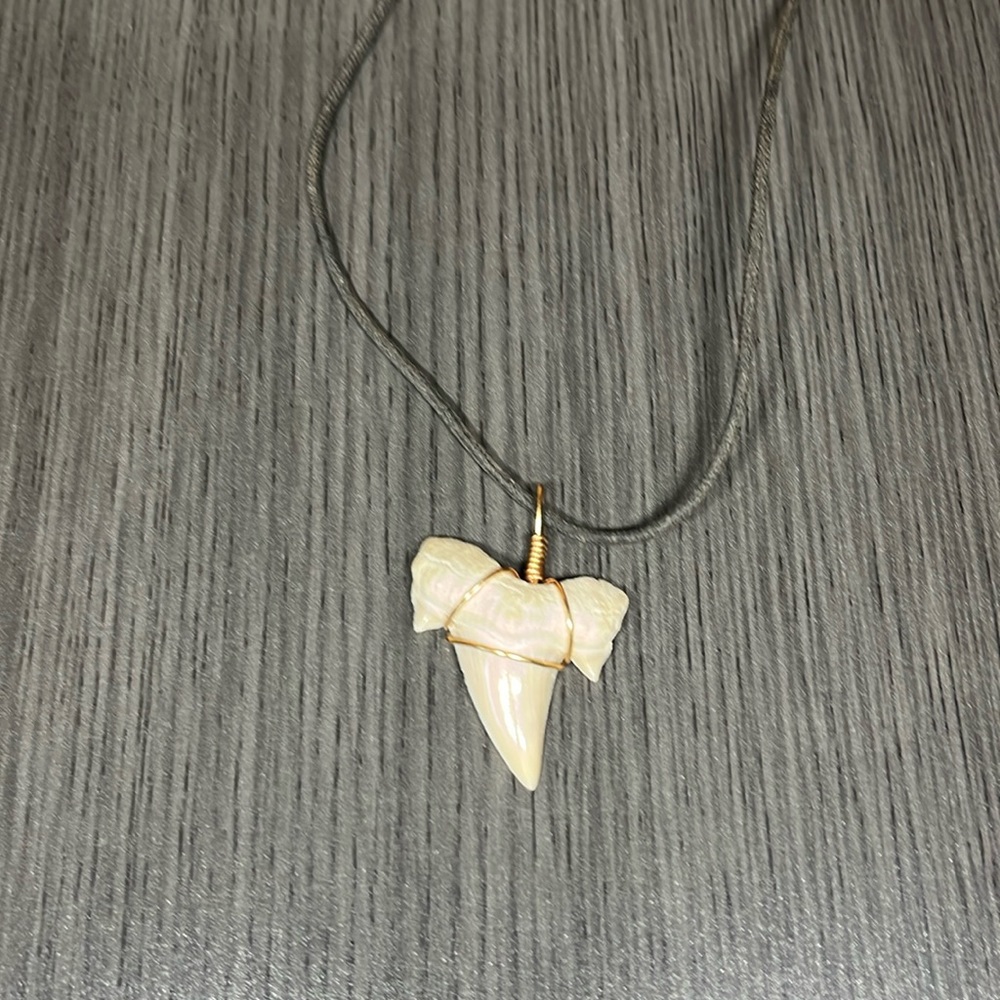Shark tooth necklace